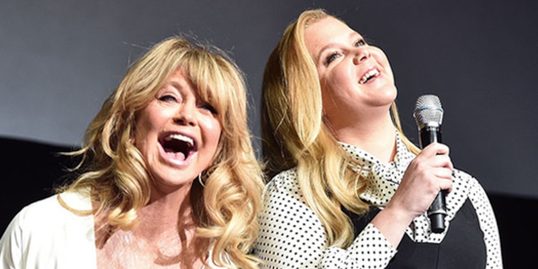Amy Schumer Jokes Drugs And Money Got Goldie Hawn Back On Film E Online Au